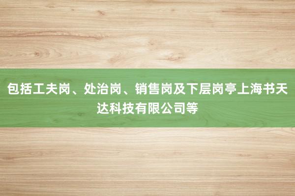 包括工夫岗、处治岗、销售岗及下层岗亭上海书天达科技有限公司等